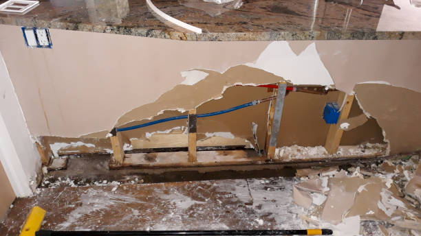 Best Mold removal after water damage  in Pine Grove, PA