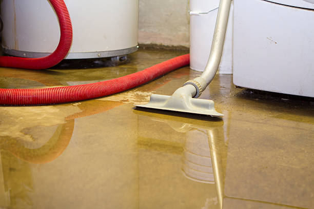 Best Flooded house restoration  in Pine Grove, PA
