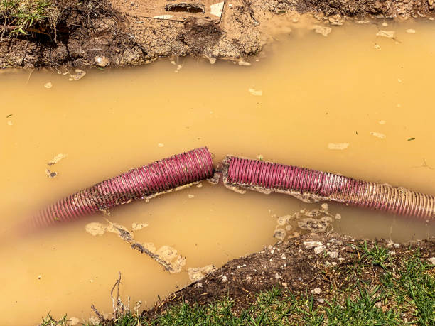 Best Water damage cleanup near me  in Pine Grove, PA